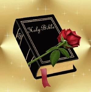 Meet your Posher, Stella